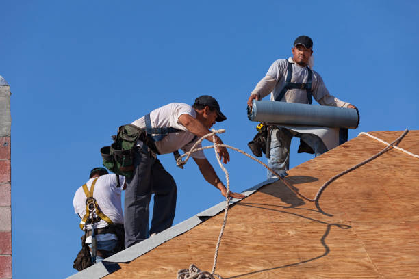 Best Roof Gutter Cleaning  in Juarez, TX