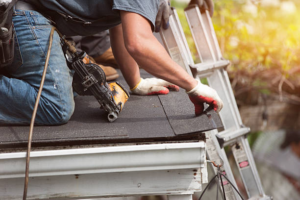 Best Gutter Installation and Roofing  in Juarez, TX
